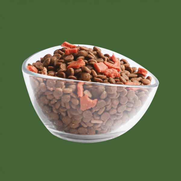 Kit Cat Signature Salmon (Beautiful Hair) Dry Cat Food - Image 2